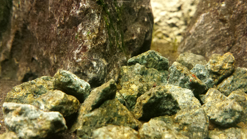 2014-11-29-08_zpsbbca251b.jpg
