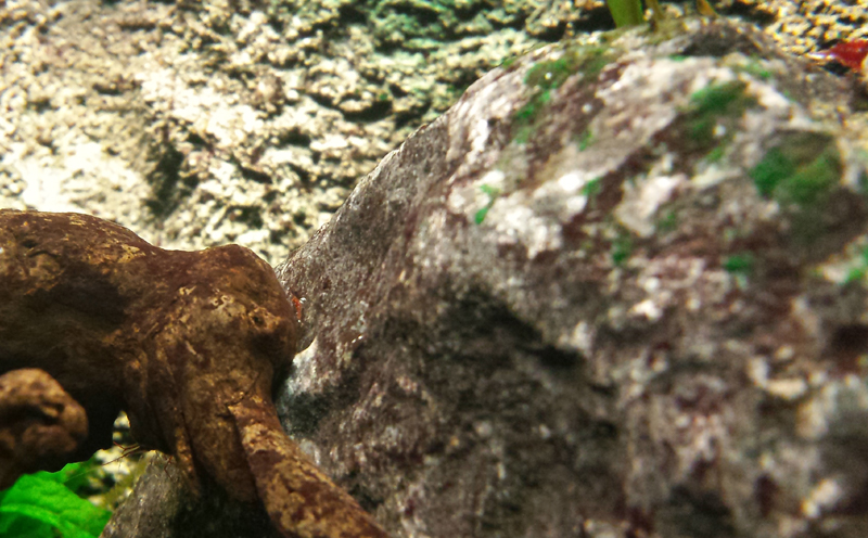 2014-11-29-10_zps140f7de0.jpg