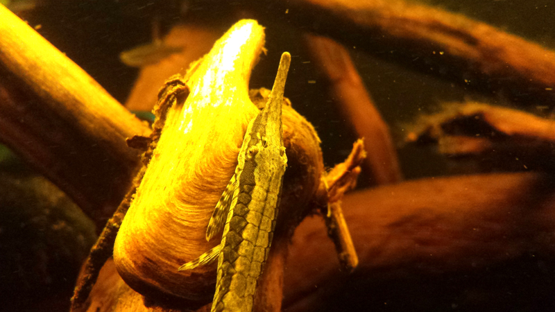 2014-12-21-03_zpsb4b57c9f.jpg