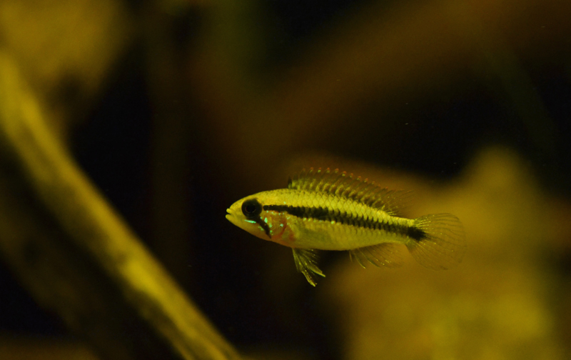 2014-12-21-07_zps751565d8.jpg
