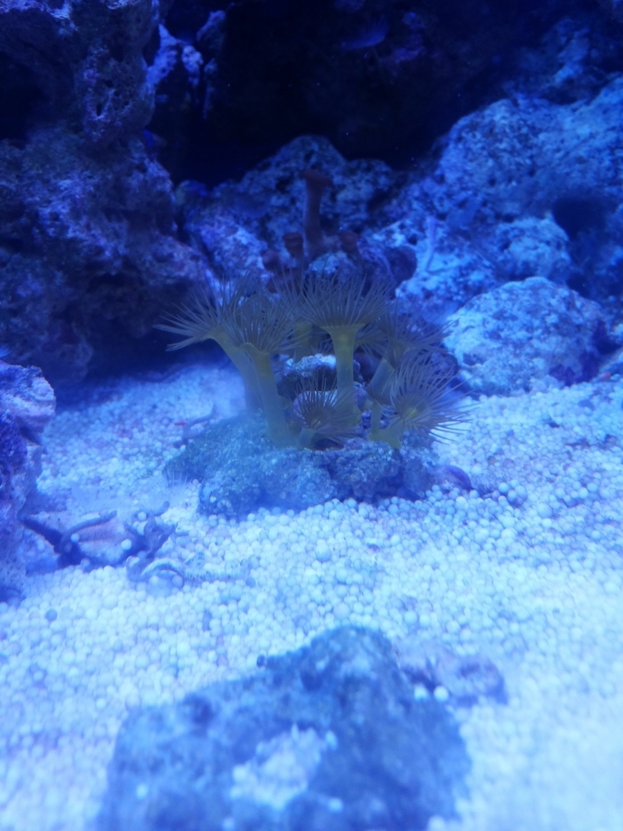 20140318_231717.jpg