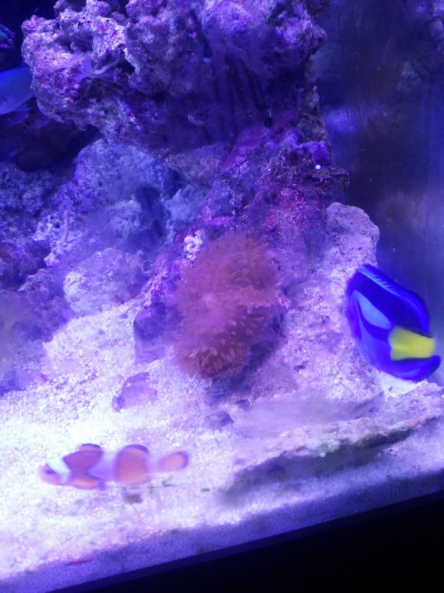 20140318_231729.jpg