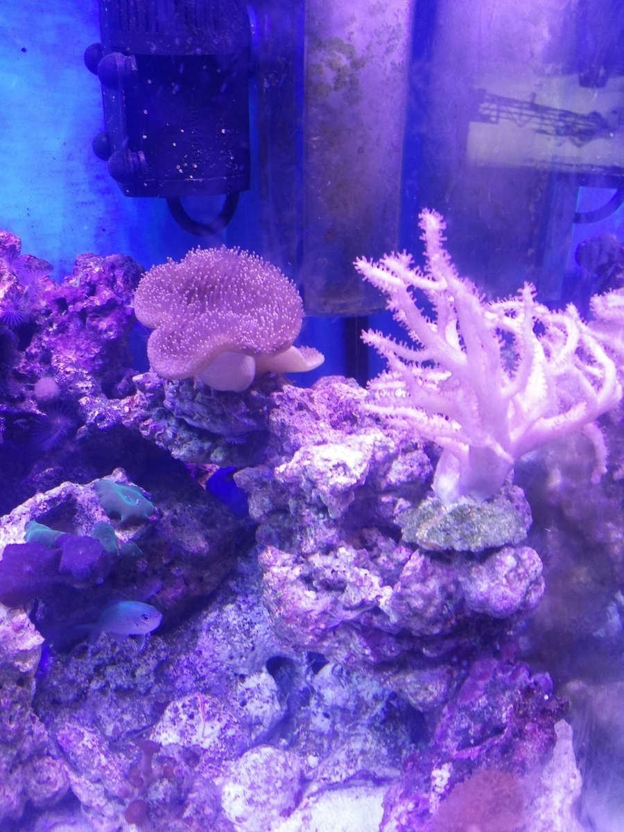 20140318_231736.jpg