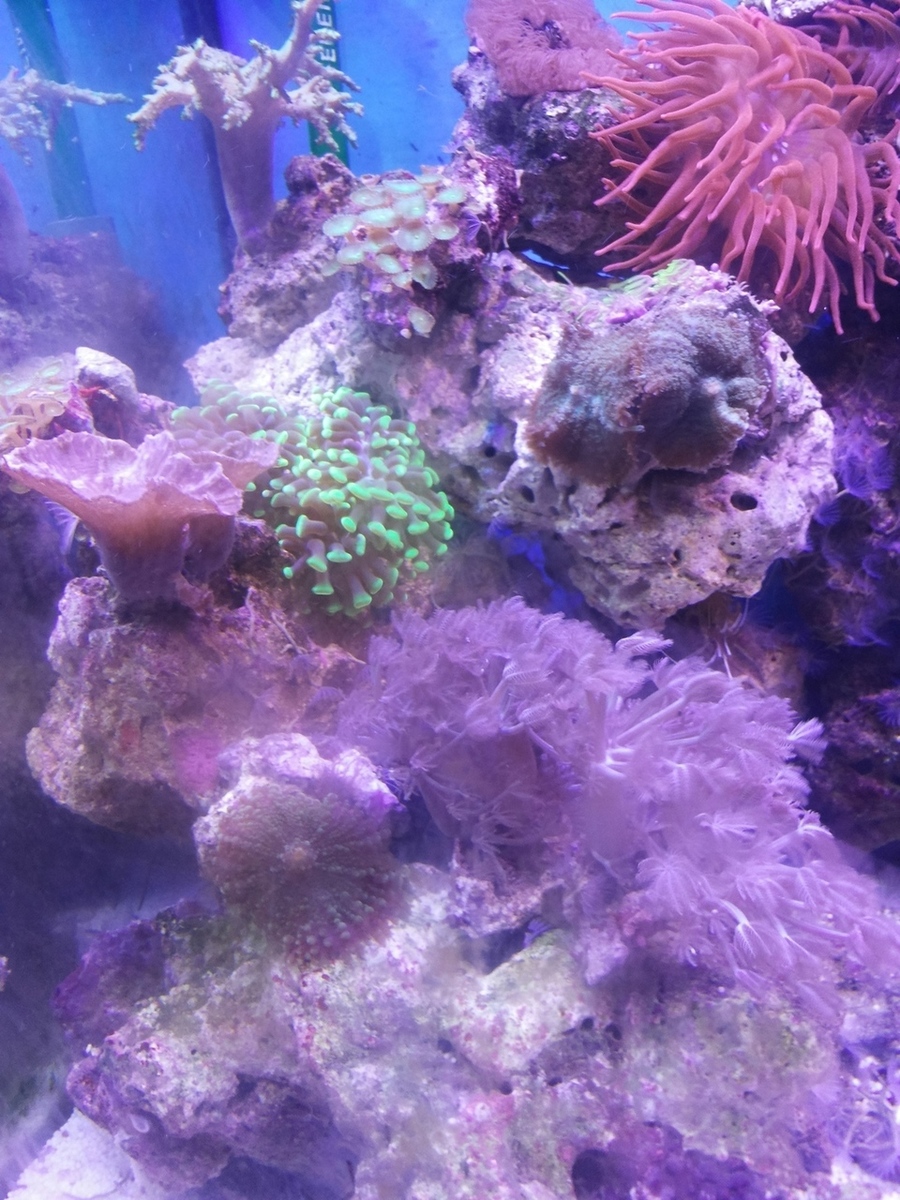 20140318_231744.jpg