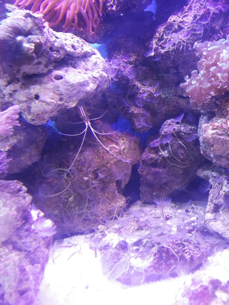 20140318_231754.jpg