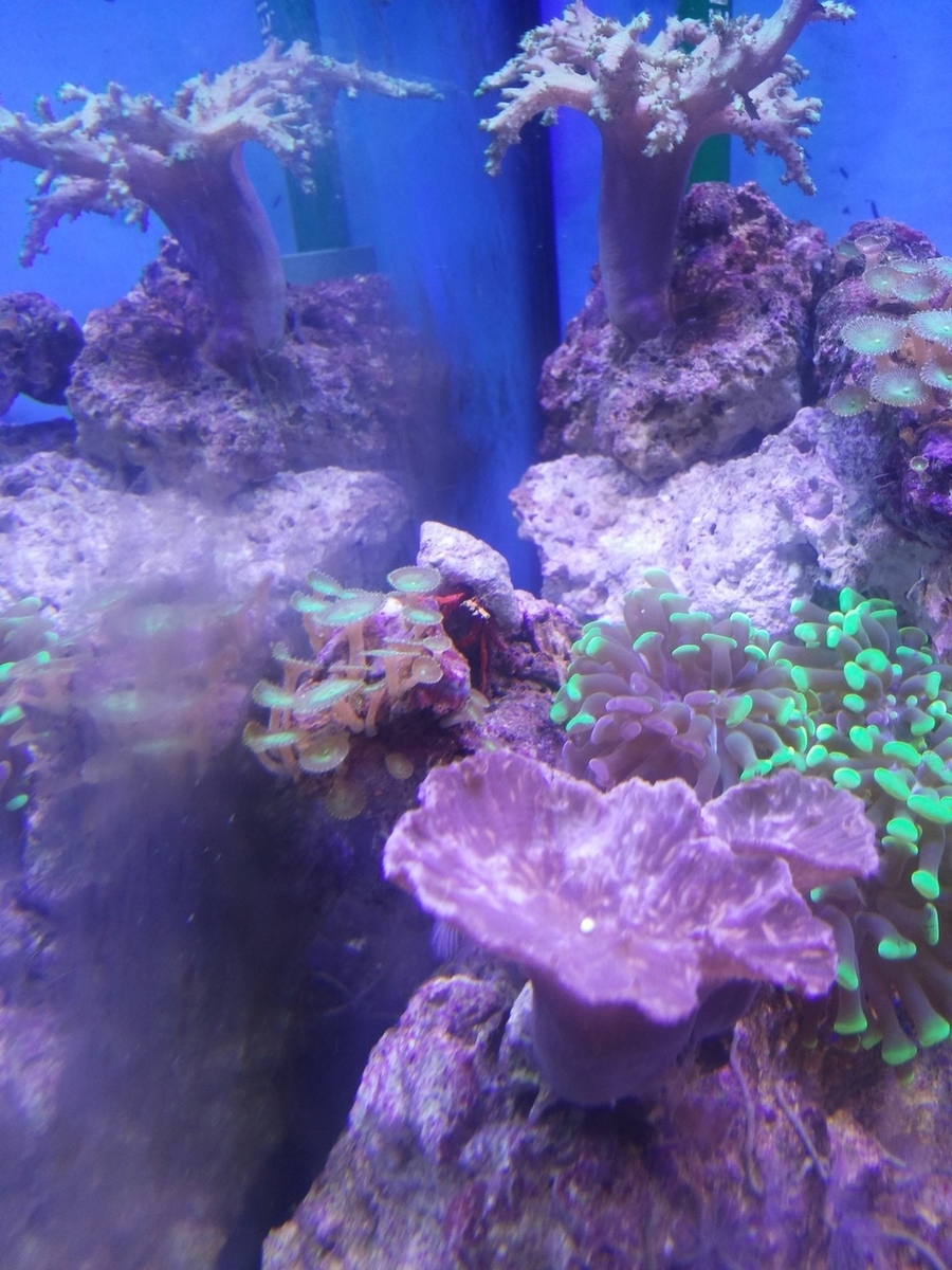20140318_231801.jpg
