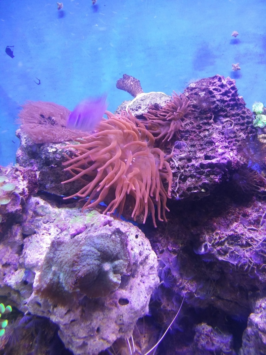 20140318_231819.jpg