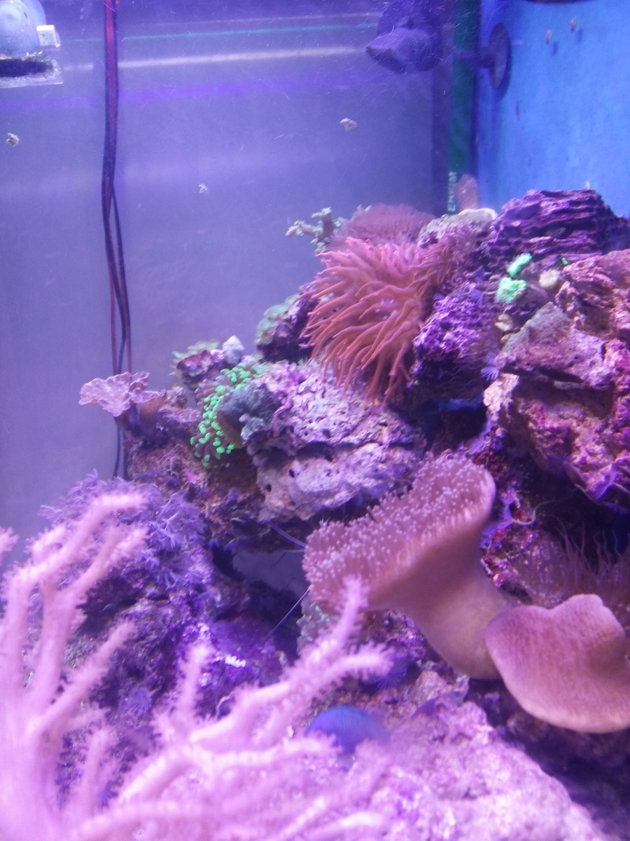 20140318_231859.jpg
