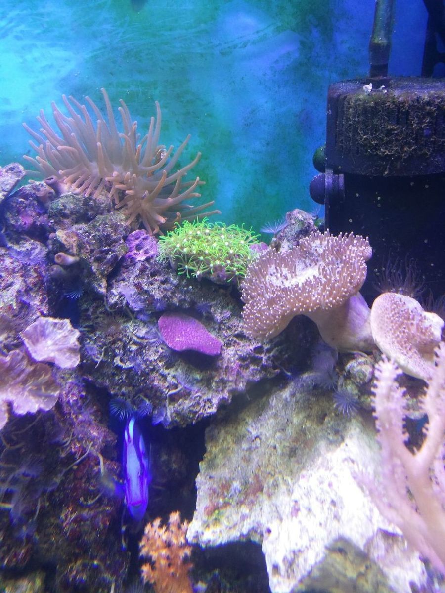20140416_001720.jpg