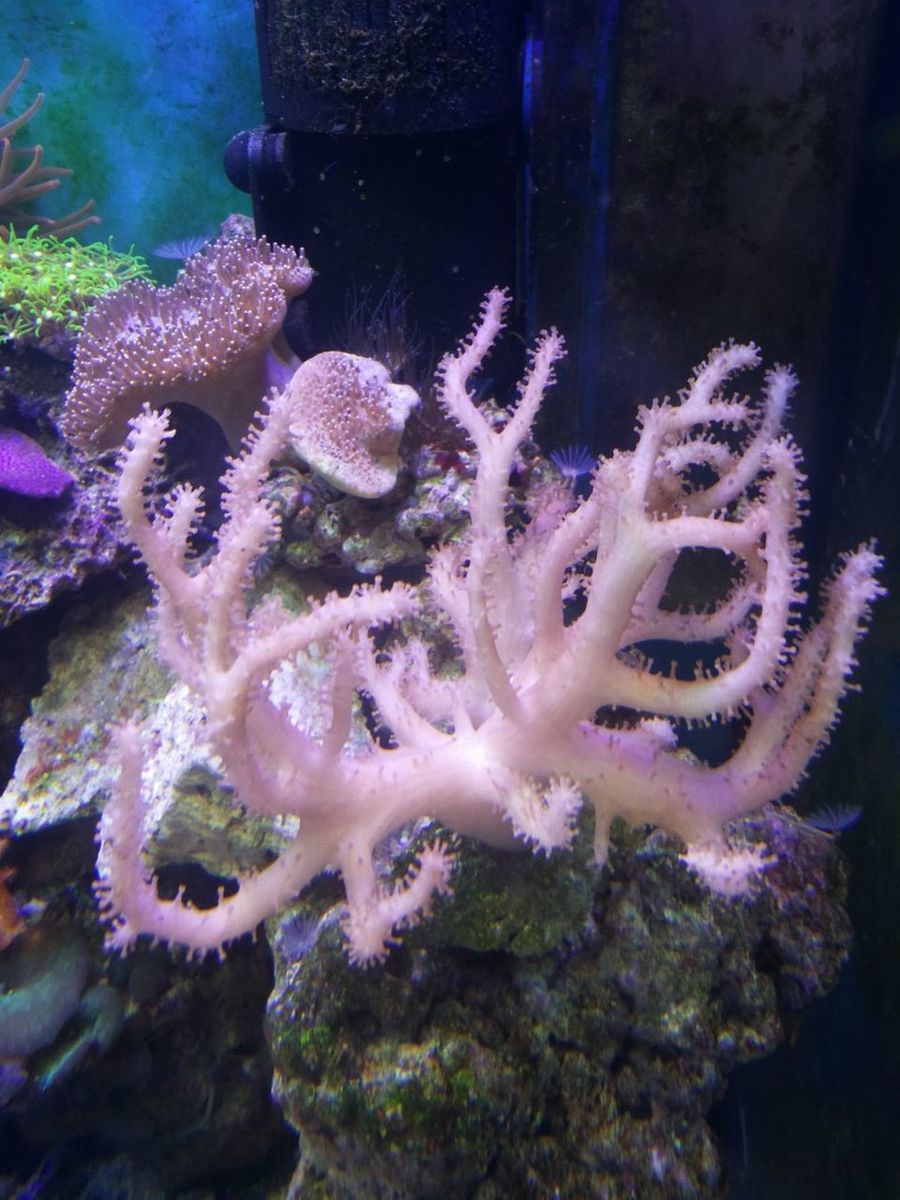 20140416_001730.jpg