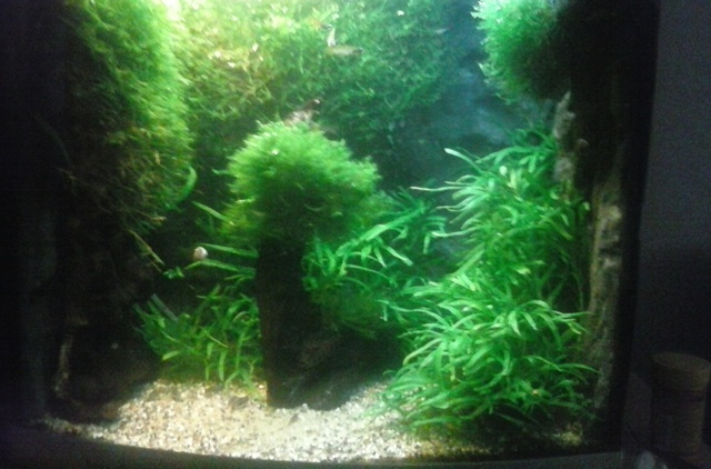 20140816_154556.jpg