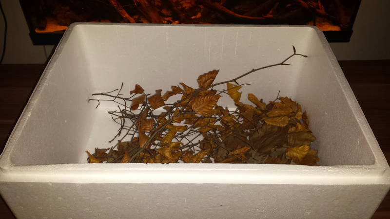 2015-01-17-09_zps3e22965f.jpg
