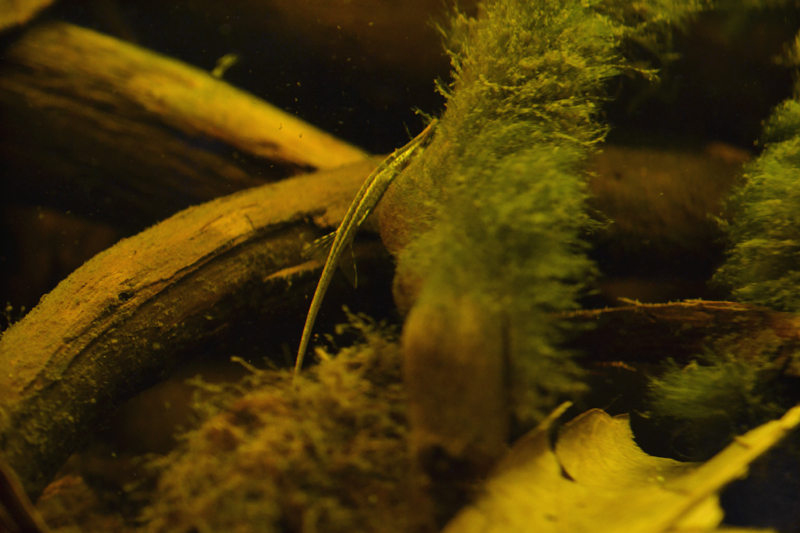 2015-02-04-04_zpsa7f18a93.jpg
