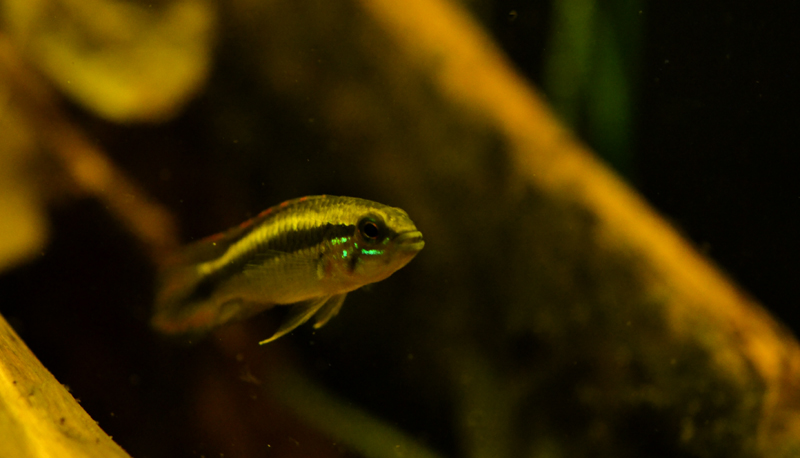 2015-02-04-06_zpsdb54e141.jpg