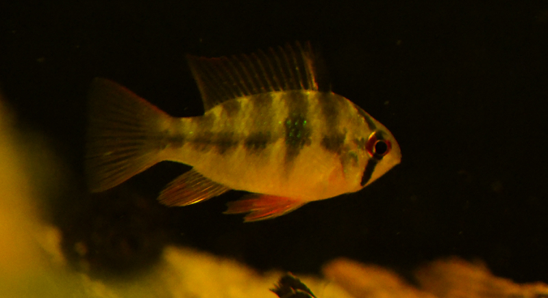 2015-02-04-07_zpsc7c6fefe.jpg