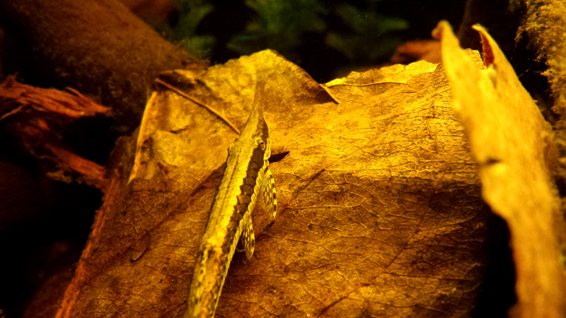 2015-02-04-08_zpsde68b74b.jpg