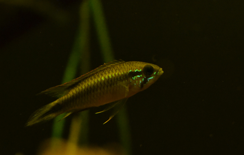 2015-02-04-09_zpsb7737825.jpg