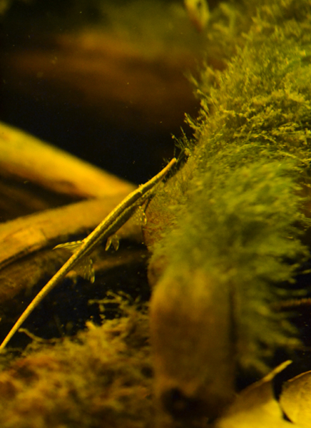 2015-03-01_zpsbvrvgwlh.jpg