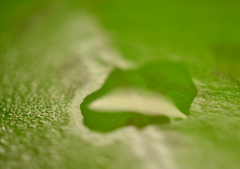 2015-04-16-02_zpshfpmgvhn.jpg