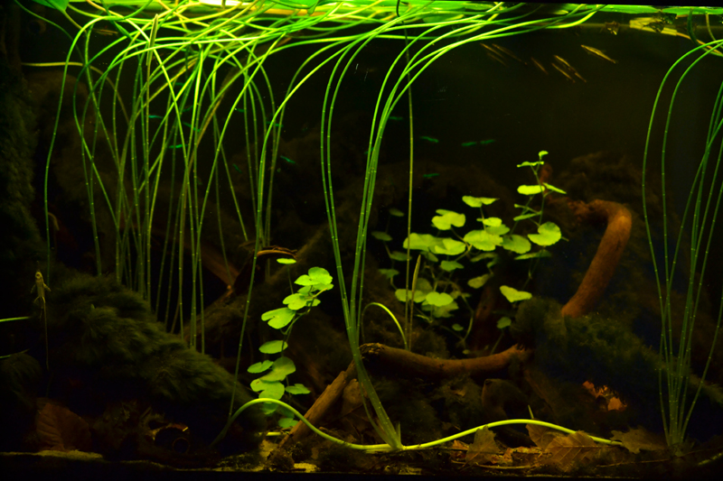 2015-08-16-02_zpswccyid8j.jpg