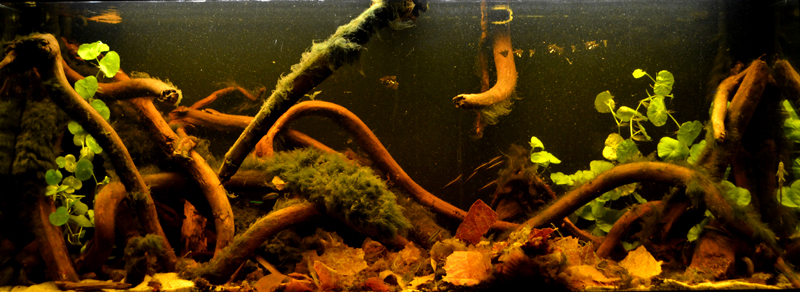 2015-09-29-05_zps35dx1xlw.jpg
