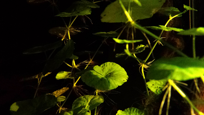 2015-10-03-03_zpsxigcbuw5.jpg