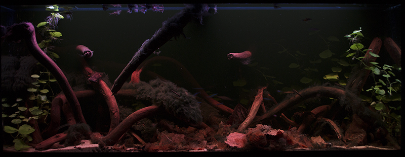 2015-10-10-01_zpsgffu80nx.jpg