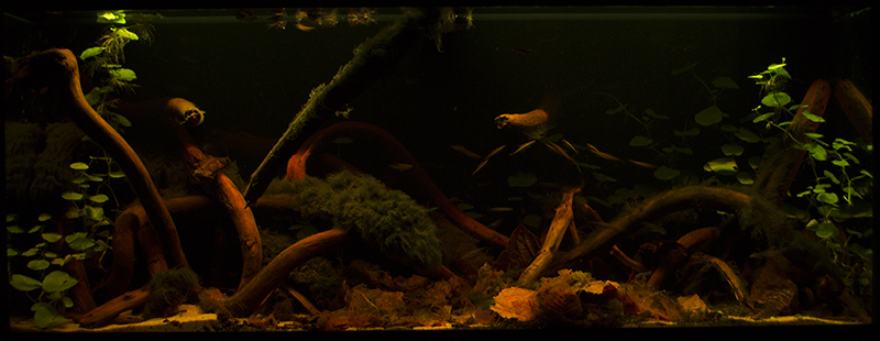 2015-10-10-02_zpslpta0lxo.jpg
