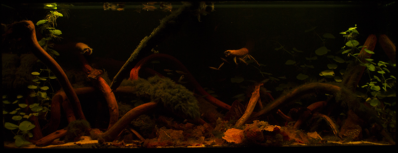 2015-10-10-03_zps6nffx6xv.jpg