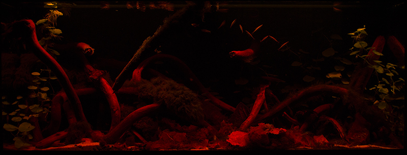 2015-10-10-05_zpsfrg0bzm3.jpg
