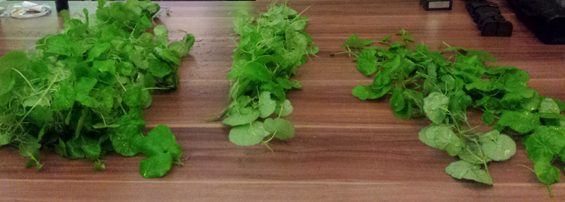 2015-12-02-01_zpsn5ezgtbk.jpg