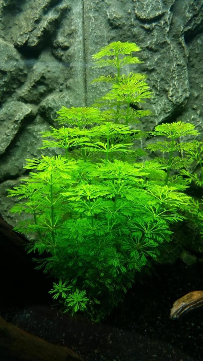 20150125_153955.jpg
