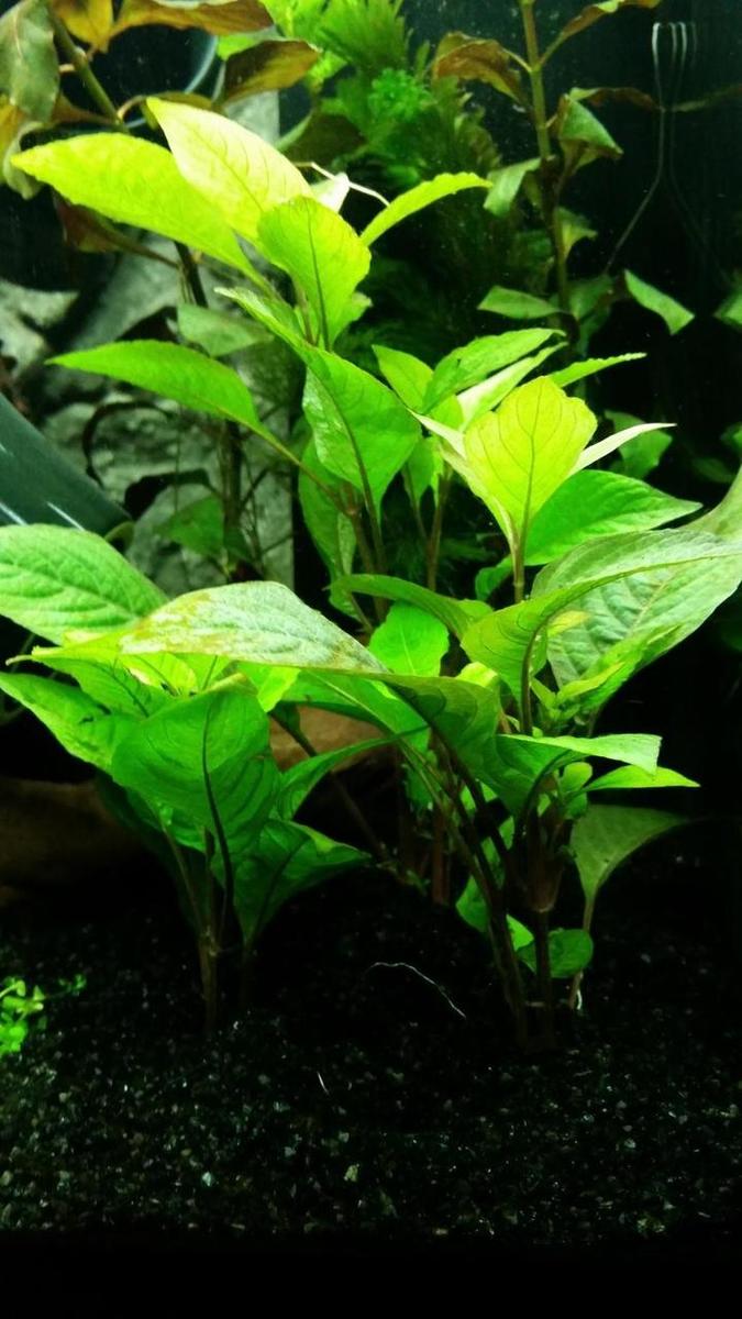 20150125_154038.jpg