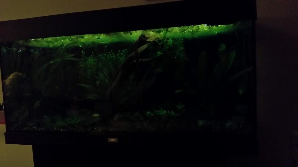 20150206_214947_zpsisqmfqw1.jpg