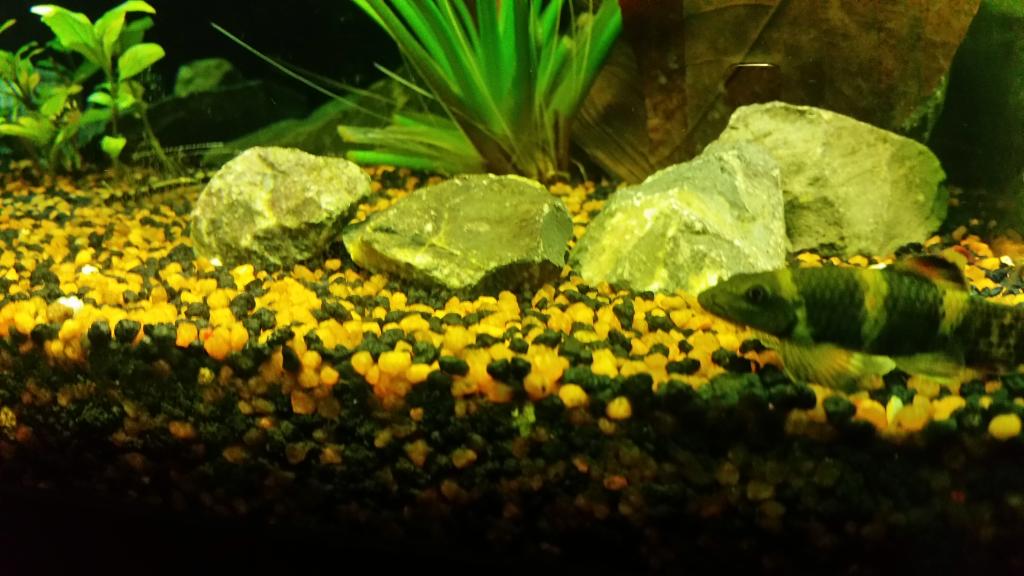 20150303_194951_zpsxzi7jqmb.jpg