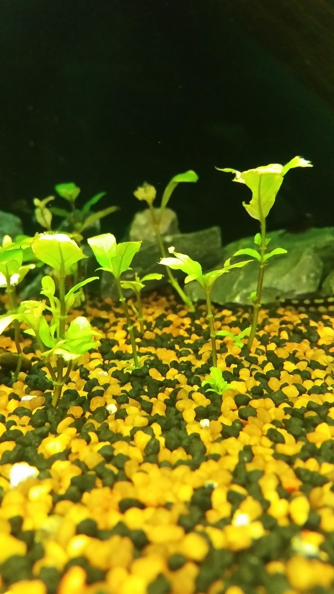 20150323_164234_zpsbgdlivwu.jpg