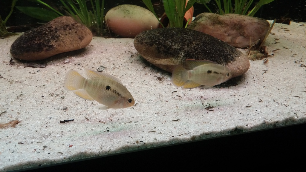 20150324_195707.jpg