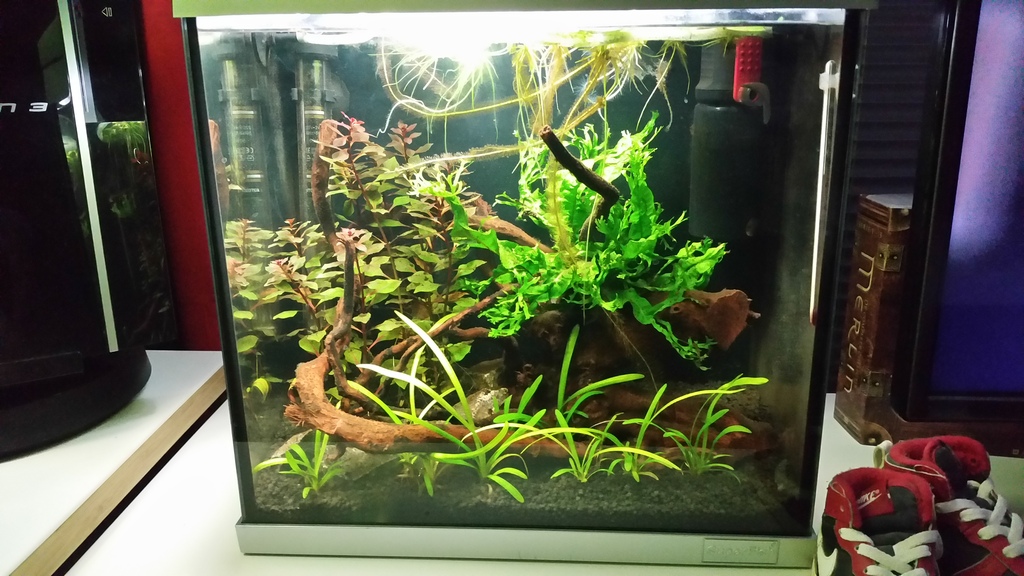 20150327_170439_zpsexjq9ucl.jpg