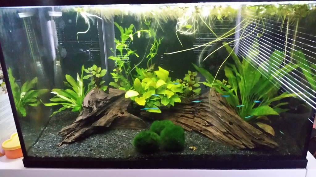 20150327_170939_zps3wqlnpor.jpg