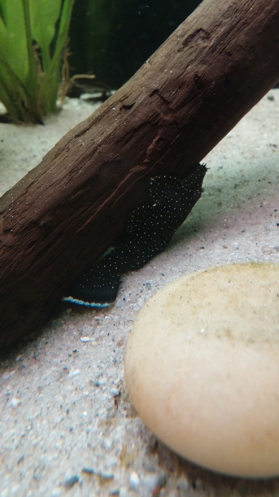 20150401_214549.jpg