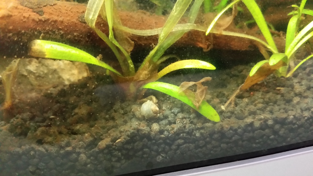 20150408_171028_zpsh0ljl56w.jpg