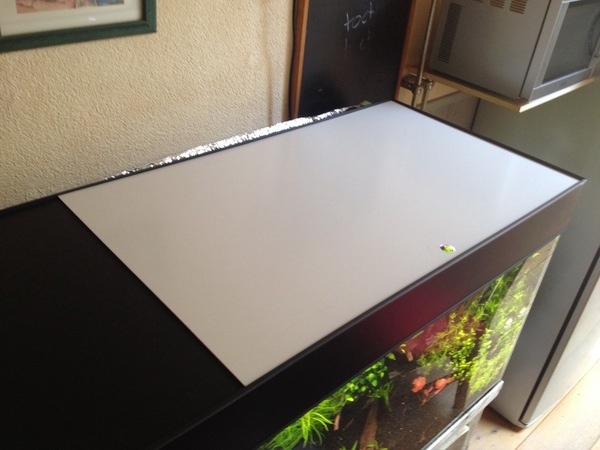 20150409_110623965_iOS.jpg