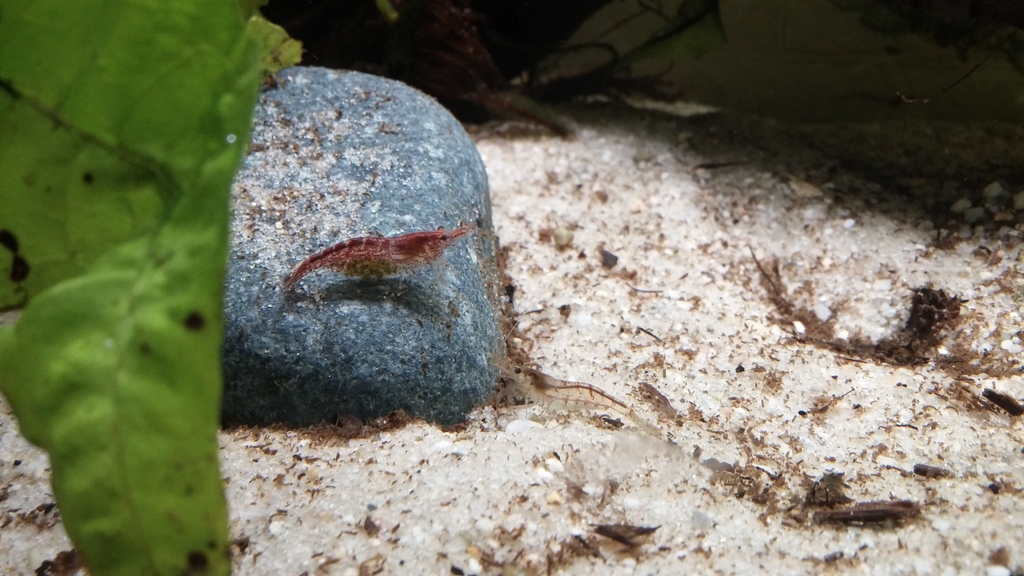 20150411_213811.jpg