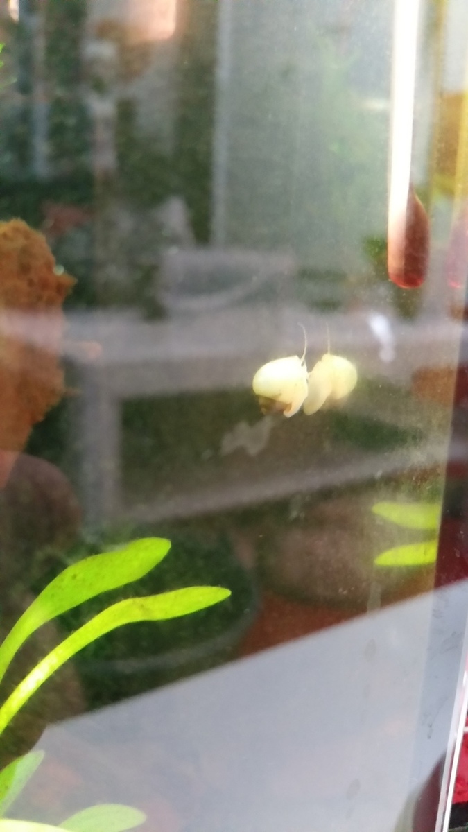 20150416_180441_zps1oyasfqt.jpg
