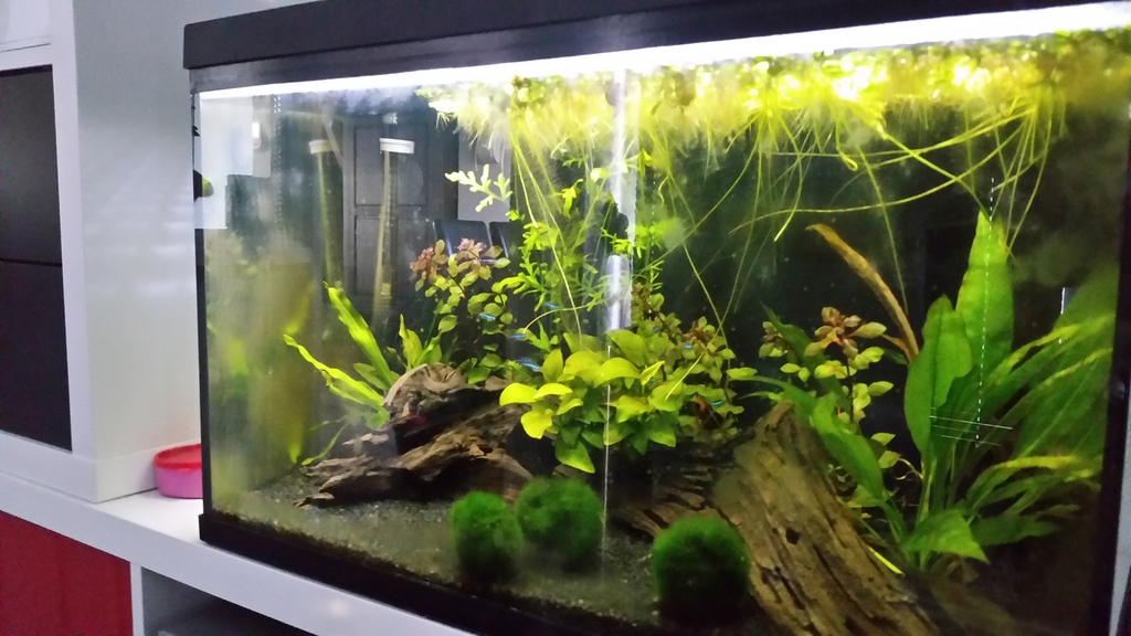 20150416_182555_zps64hpiumc.jpg
