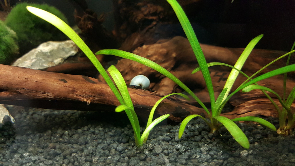 20150525_175209_zpsubllr7wy.jpg