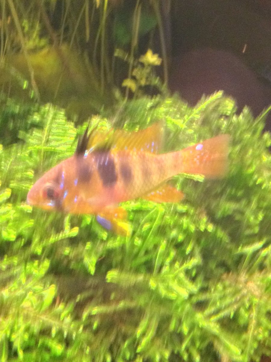 20150808_093110938_iOS.jpg