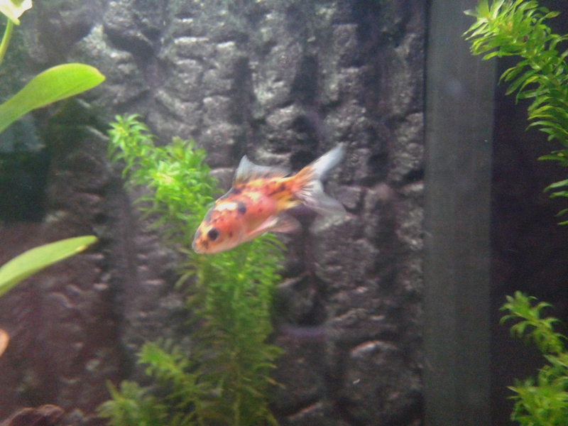 20150912_180038.jpg