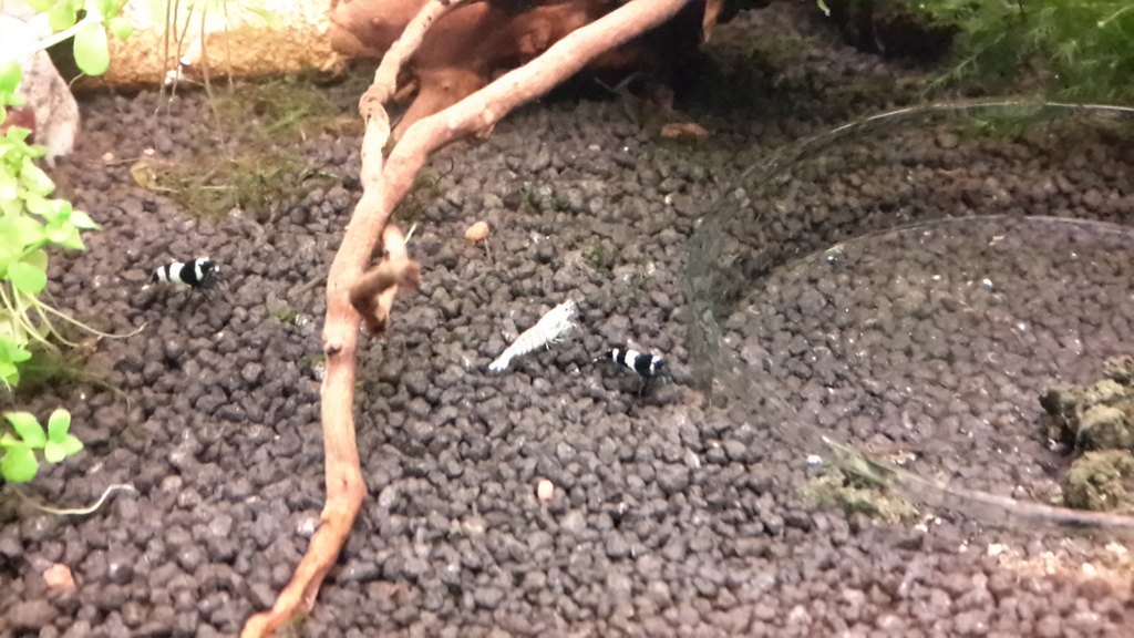 20150929_111929_zpscox6639x.jpg