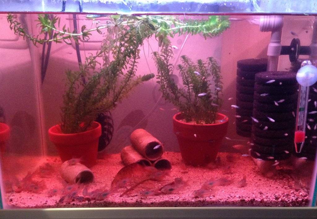 2016-02-29 18.20.16.jpg